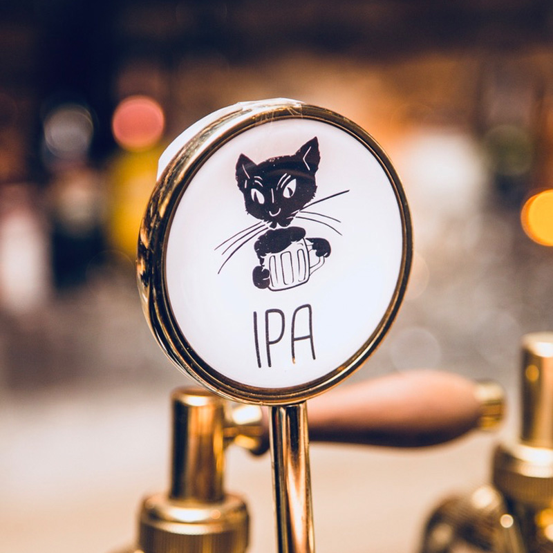 Pivo IPA Kocúr káva a bistro